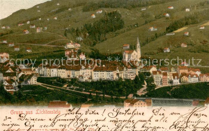 Lichtensteig Panorama