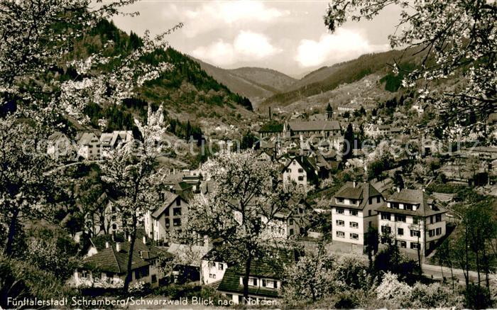 Schramberg Panorama Fuenftaelerstadt im Schwarzwald