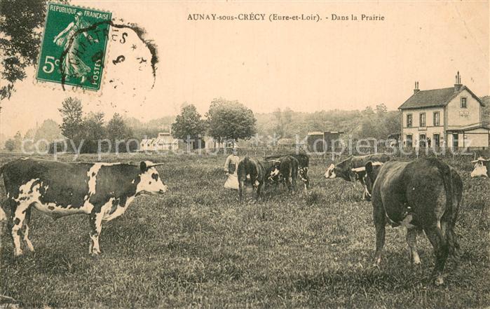 Aunay-sous-Crecy Dans la Prairie