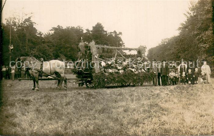 BIELEFELD  CITY Festumzug Geschmueckter Pferdewagen
