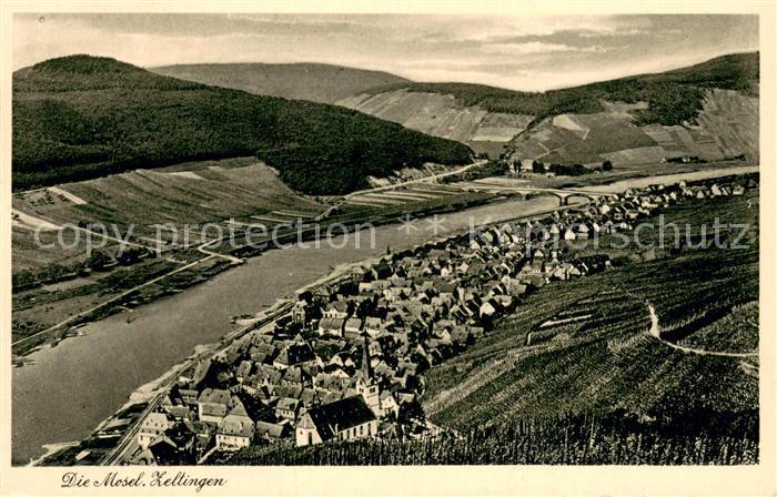 Zeltingen-Rachtig Mosel Panorama Blick ins Moseltal Weinberge