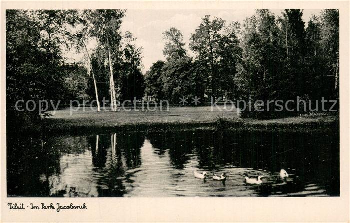 Tilsit Sowetsk Oblast Kaliningrad Im Park Jacobsruh