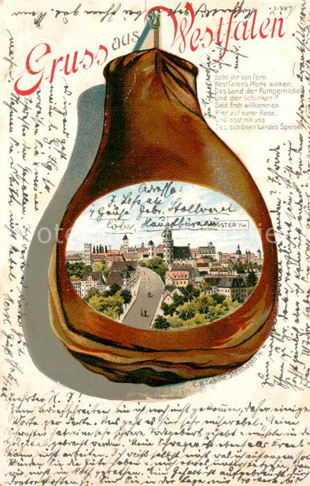 Muenster Westfalen Stadtansicht im Schinken