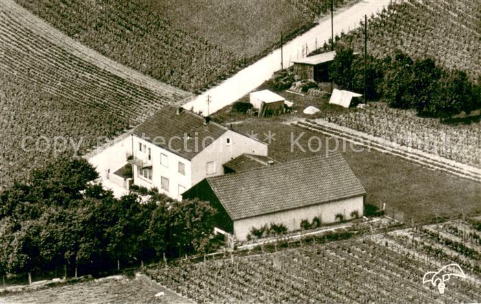 Nordheim Heilbronn Weingut Pension Erwin Christ Fliegeraufnahme