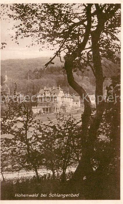 Schlangenbad Taunus Kurhotel Pension Hohenwald