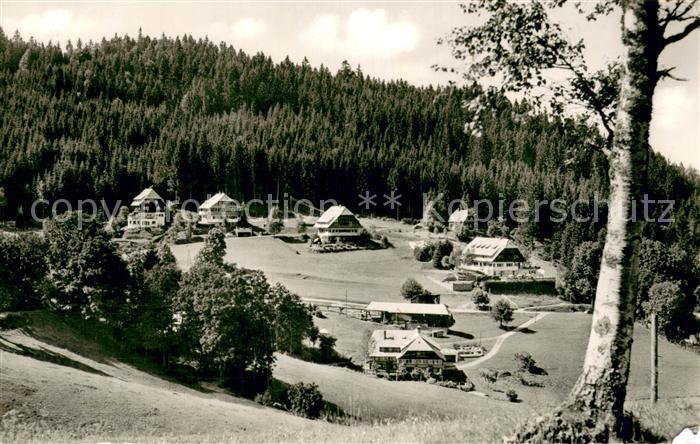 Hinterzarten Breisgau-Hochschwarzwald BW Blick zum Kesslerberg Hoehenluftkurort