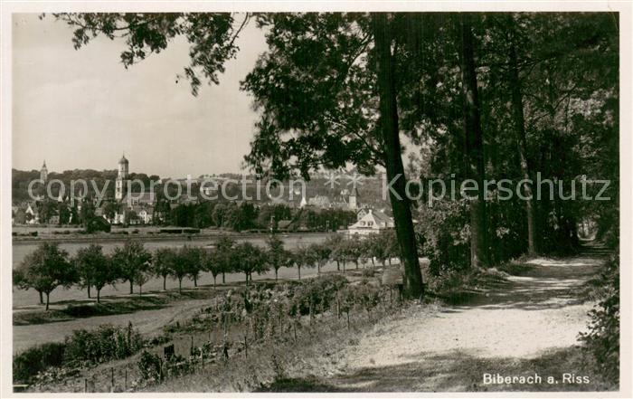 Biberach Riss Ansicht vom Waldrand aus