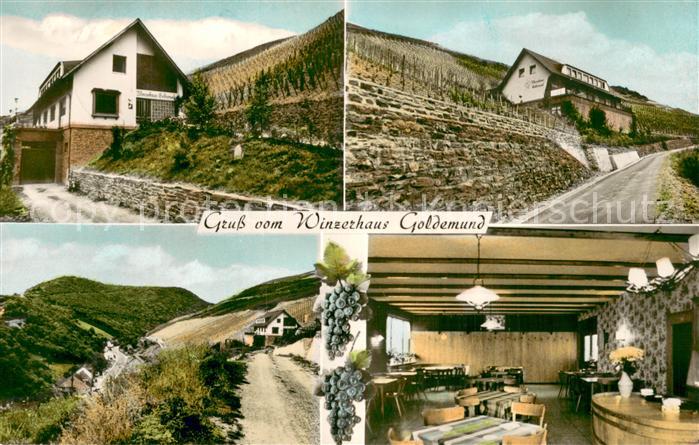 Oberwesel Rhein Winzerhaus Goldemund Weingut Innen- u. Aussenansichten