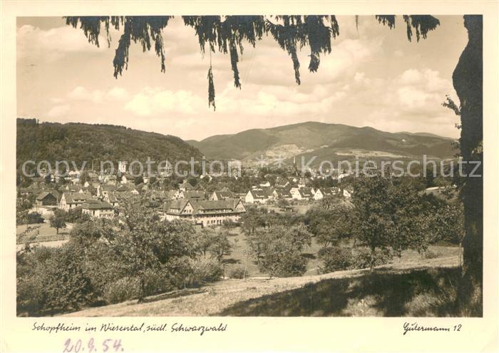 Schopfheim Teilansicht