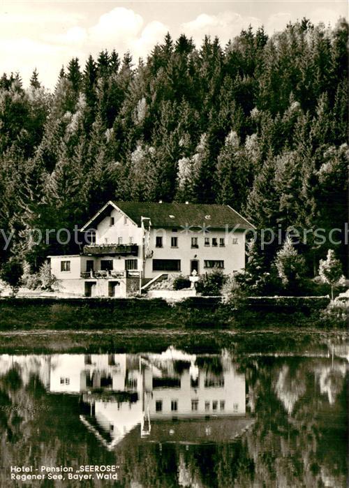 Regen Hotel Seerose Aussenansicht Regener See