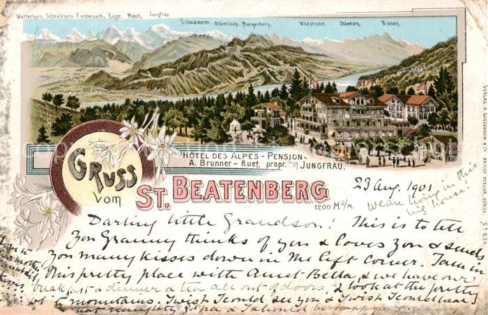 St Beatenberg BE Hotel des Alpes - Berg-Panorama
