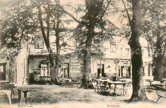 Moelln Lauenburg Waldhasse m.Garten-Terrasse