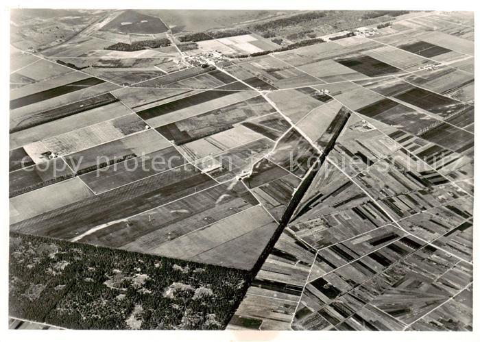 Witzwil Gampelen BE Fliegeraufnahme Generaluebersicht