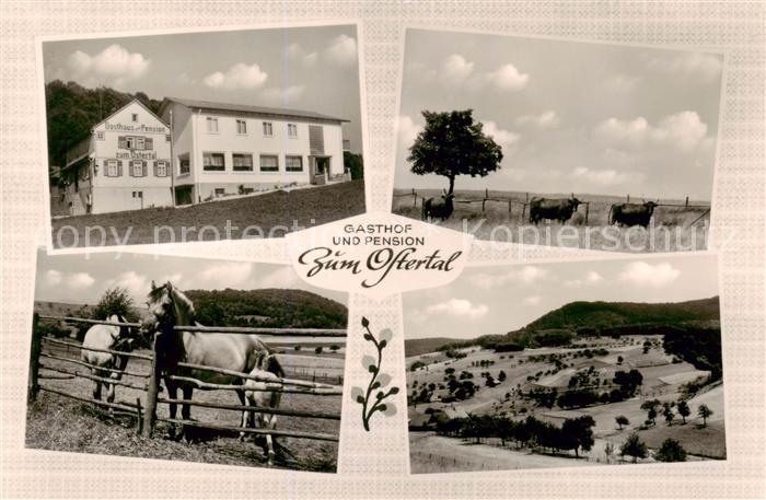 Ober-Ostern Gasthof-Pension Zum Ostertal m. Umgebung