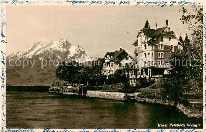 Weggis Vierwaldstaettersee Hotel Felsberg Aussenansicht