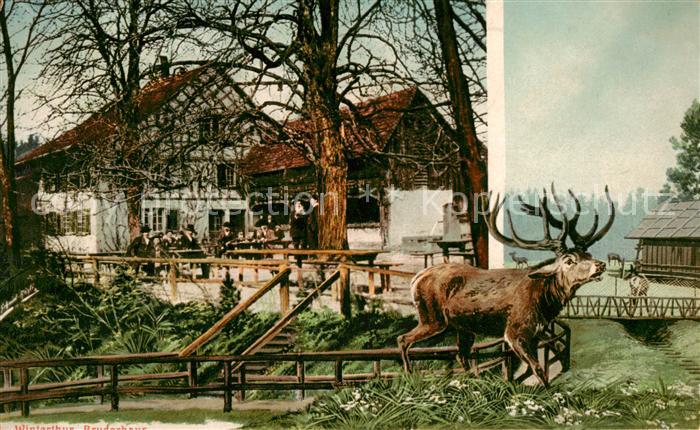 Winterthur ZH Bruderhaus Aussenansicht m. Hirsch