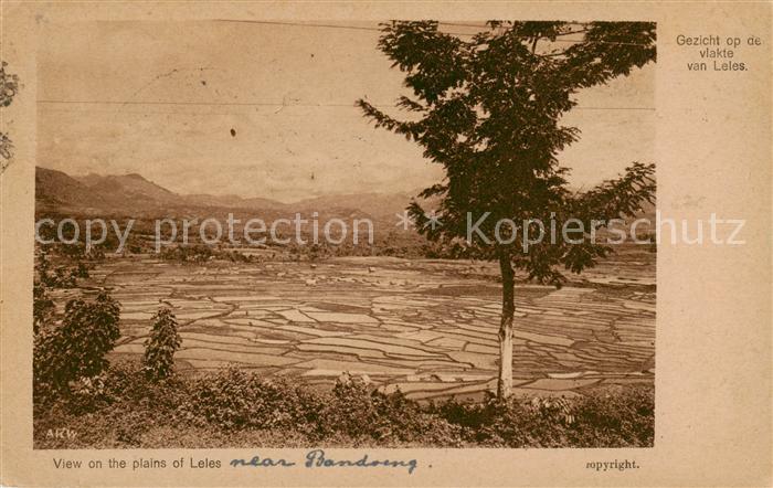 Leles Indonesia View on the plains
