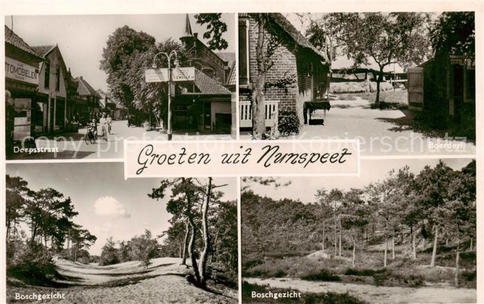 Nunspeet NL Dorpsstraat . Boschgezicht - Boerderij