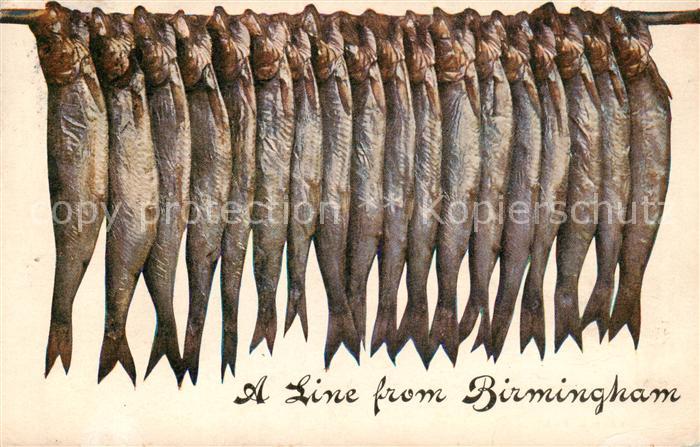 Birmingham  UK Fish-line