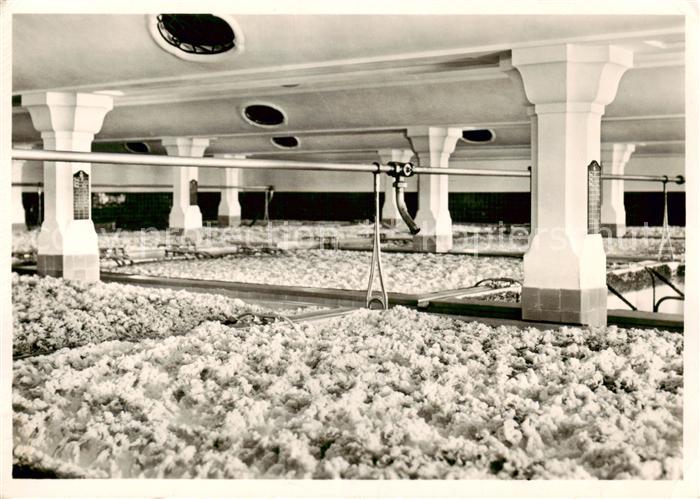 Rheinfelden AG Brauerei Feldschloesschen Gaerkeller Innenansicht