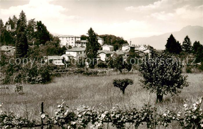Montagnola TI Vicino Lugano Collina d Oro