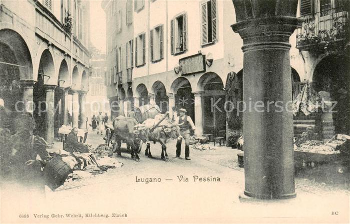 Lugano Lago di Lugano TI Via Pessina - Ochsengespann