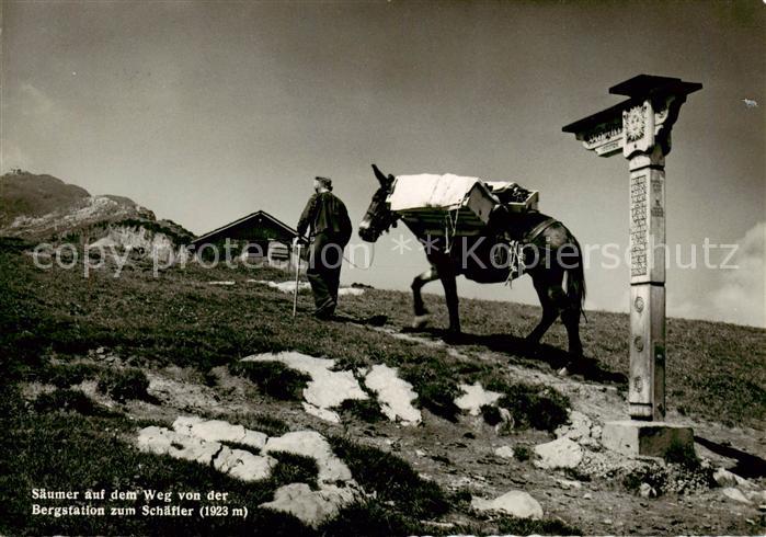Schaefler 1925m IR Saeumer auf dem Weg von Bergstation zum Schaefler