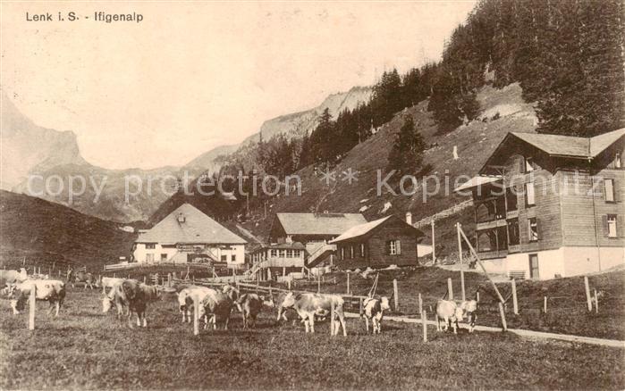 Lenk Simmental Ifigenalp Viehweide Kuehe