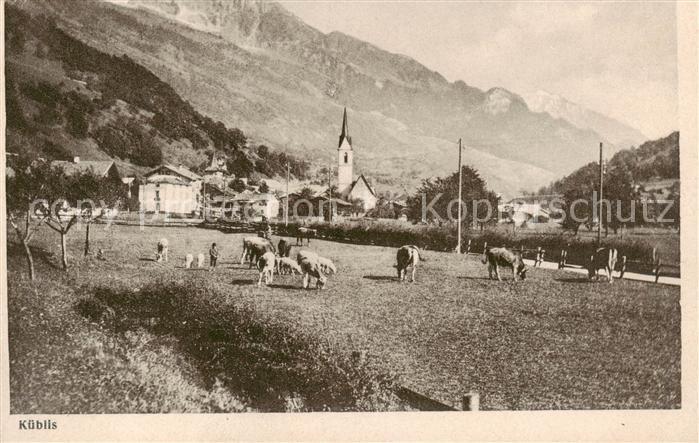 Kueblis GR Blick ueber die Viehweide zum Dorf