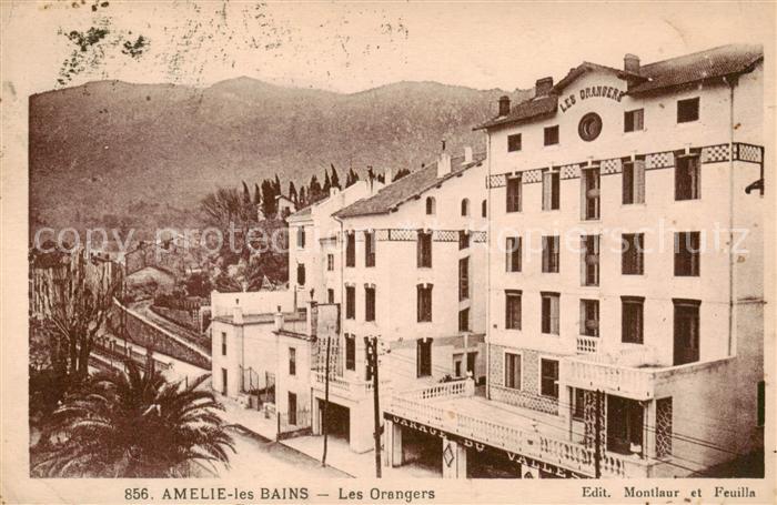 Amelie-les-Bains-Palalda 66 Les Orangers
