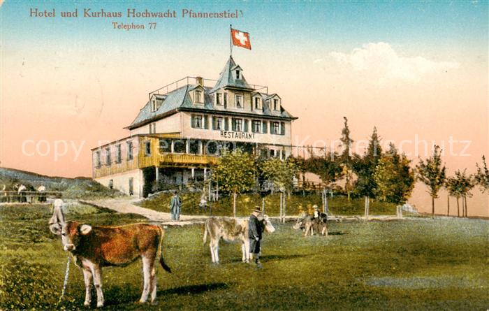 Pfannenstiel Staefa ZH Hotel Kurhaus Hochwacht Restaurant Viehweide Kuehe