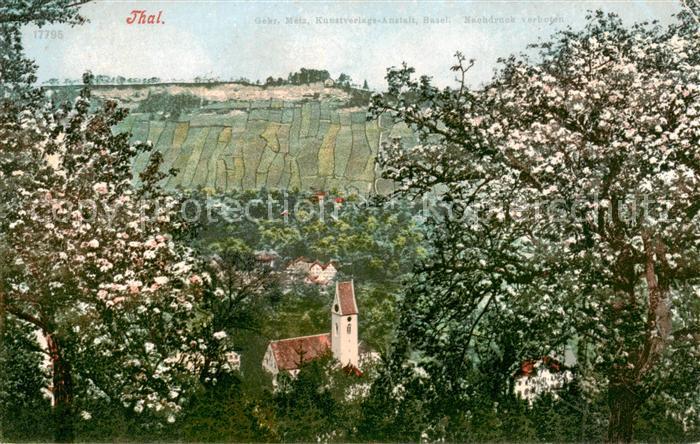 Thal Rheineck SG Panorama