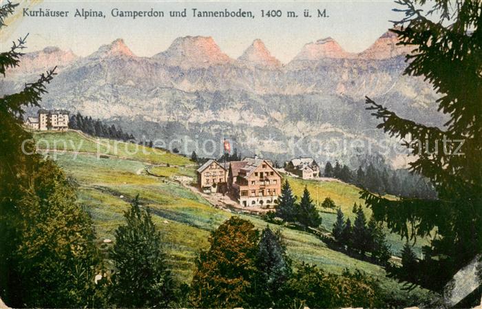 Flums  SG Kurhaeuser Alpina Gamperdon und Tannenboden