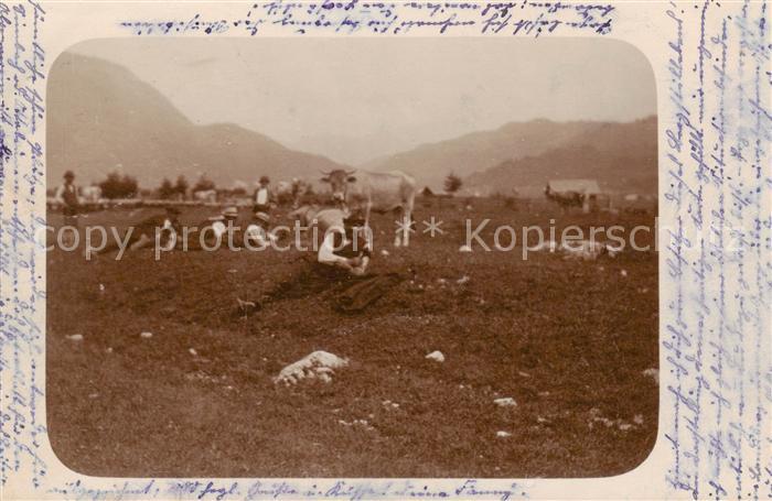 Bobingen Panorama Viehhirten