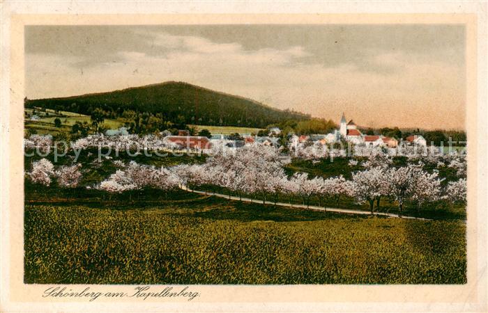 Schoenberg Bad Brambach Panorama Ort am Kapellenberg Baumbluete