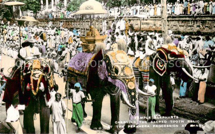 Colombo Ceylon Sri Lanka Temple Elephants Carrying the Sacred Tooth Relic at the