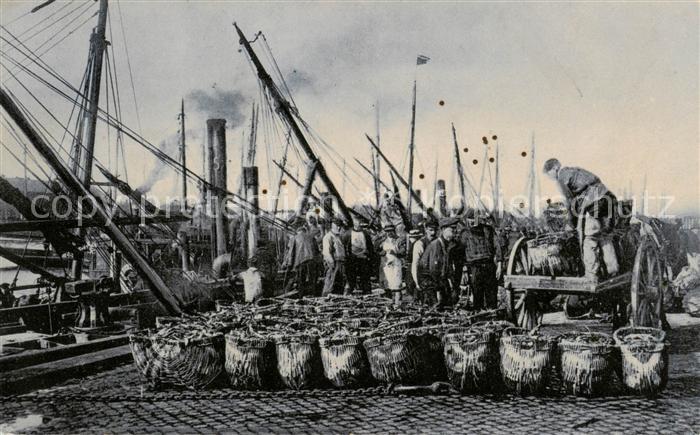 HAMBURG  CITY Fischerei