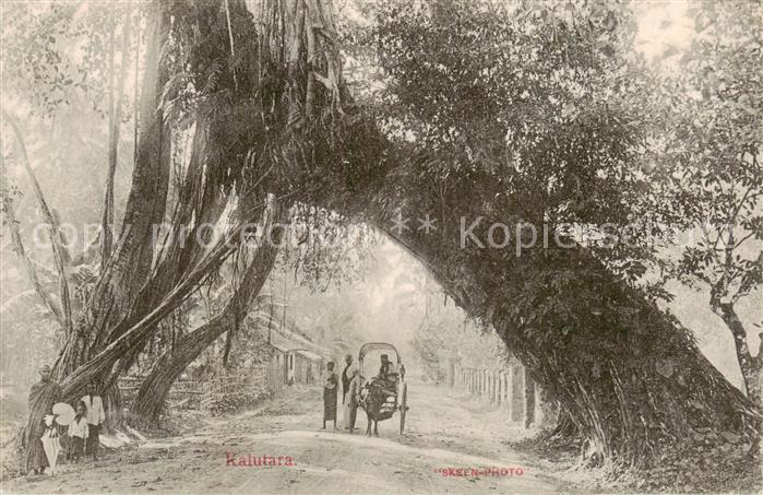 Kalutara Sri-Lanka Ceylon Allee Eselskarren