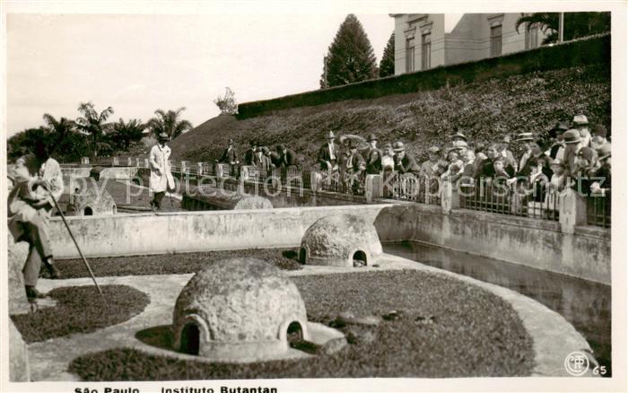 Sao Paulo Brazil Institut Butanan