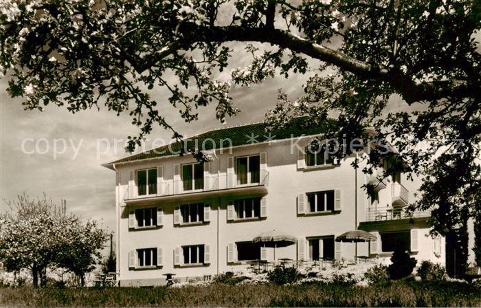Bad Schachen Bodensee Hotel Garni Brombeiss Baumbluete