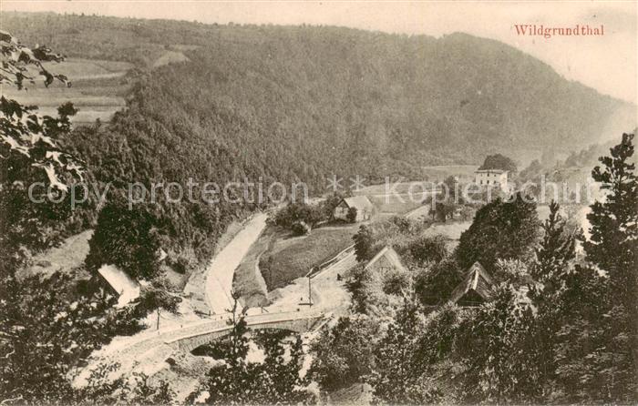 Wildgrundtal Panorama