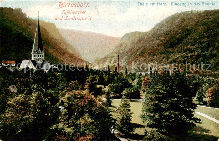 Thale Harz Bodetal Birresborn Tafelwasser und Lindenquelle