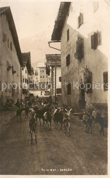Berguen Bravuogn GR Ziegenauftrieb durch die Dorfgasse