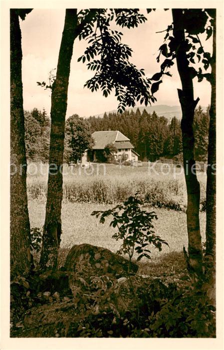 Hinterzarten Breisgau-Hochschwarzwald BW Haus Schwoerer