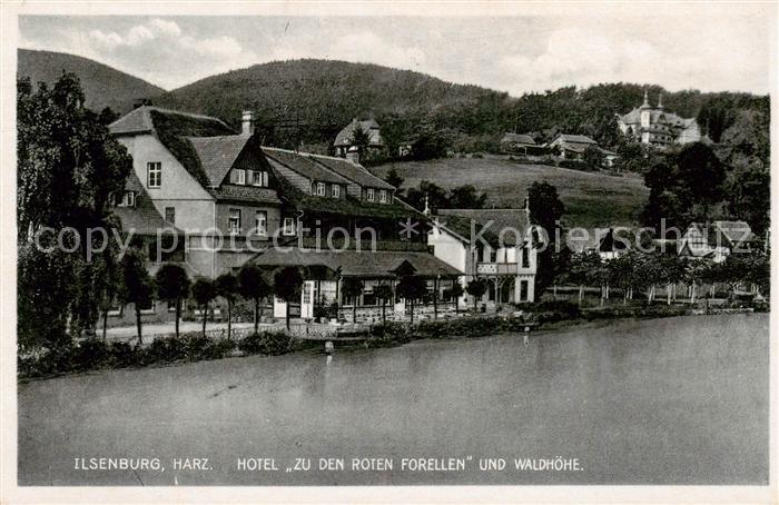 Ilsenburg Harz Hotel Zu den roten Forellen und Waldhoehe