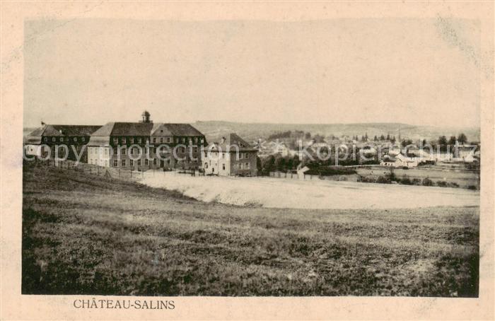Chateau-Salins 57 Moselle Panorama