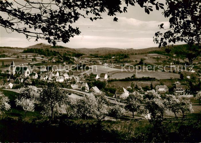 Kirschhausen Panorama mit Pension Cafe Villa Rosemarie