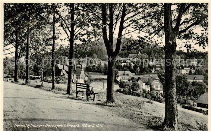 Baerenfels Erzgebirge Altenberg Panorama