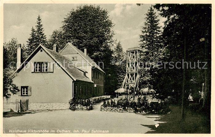 Viktorshoehe Waldhaus Viktorshoehe
