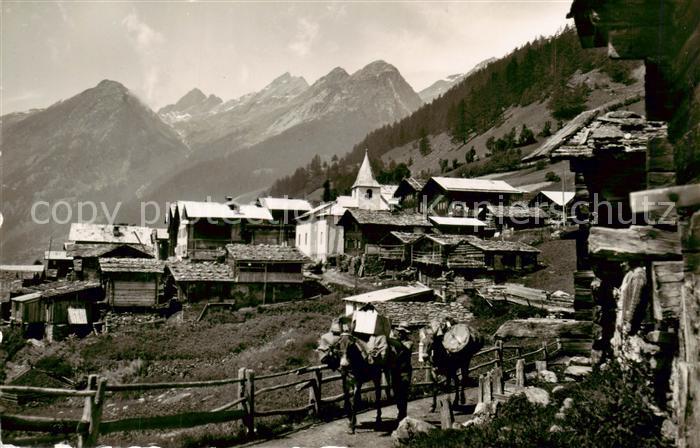 Wiler Loetschental VS mit Rothoerner